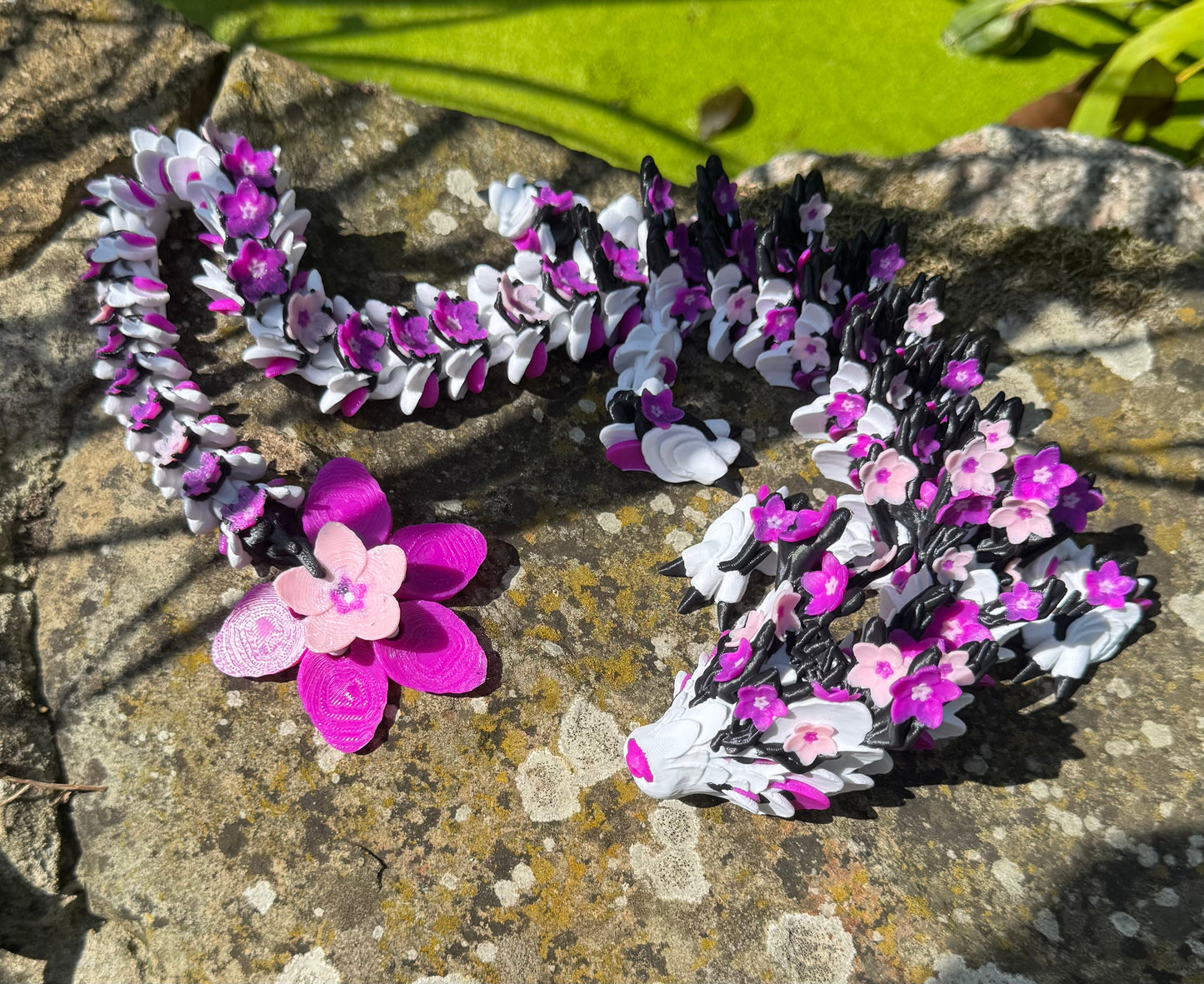 Cherry Blossom Dragon