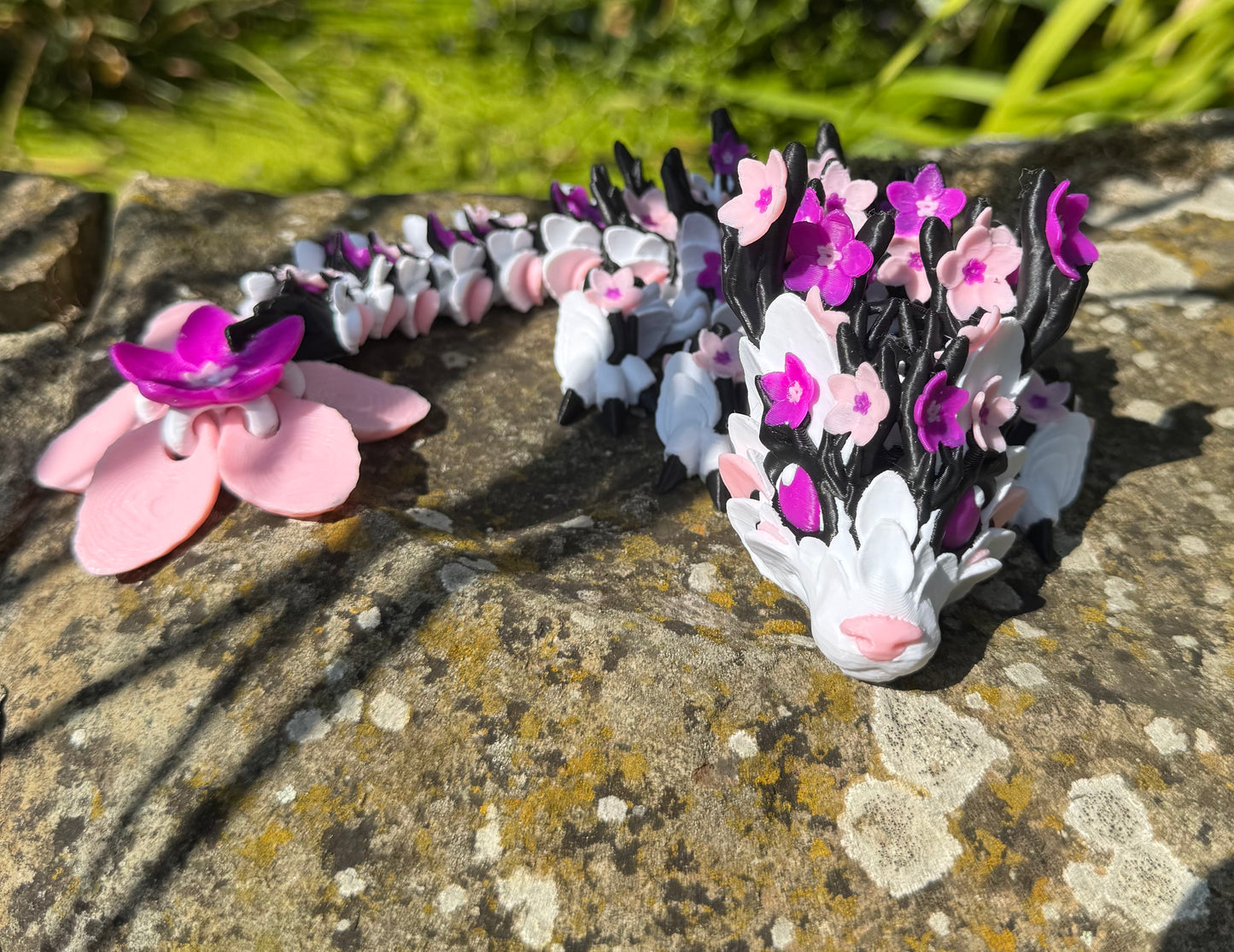 Cherry Blossom Dragon