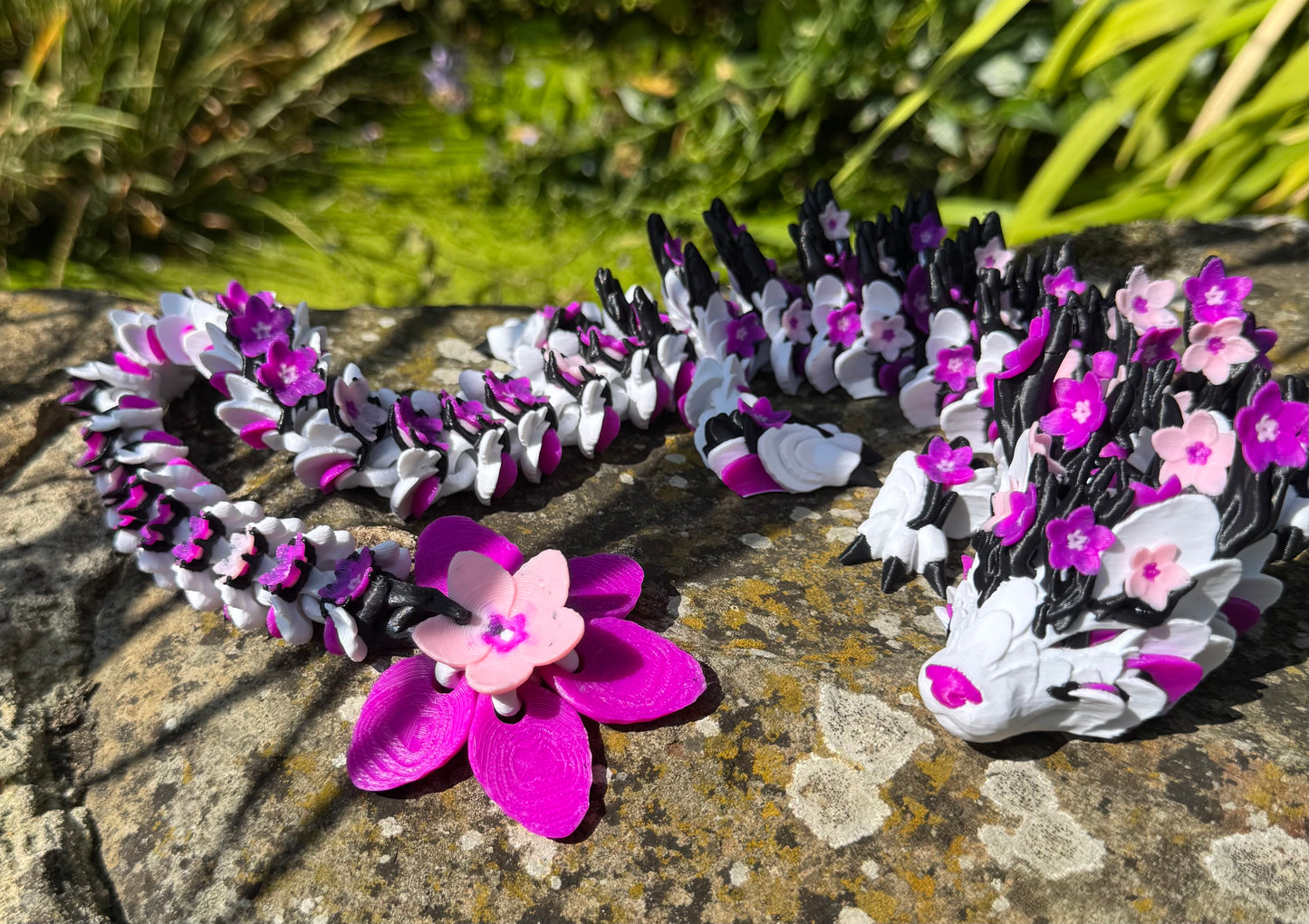 Cherry Blossom Dragon