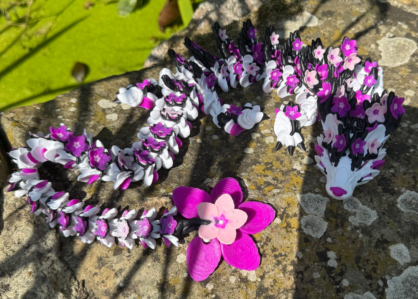 Cherry Blossom Dragon