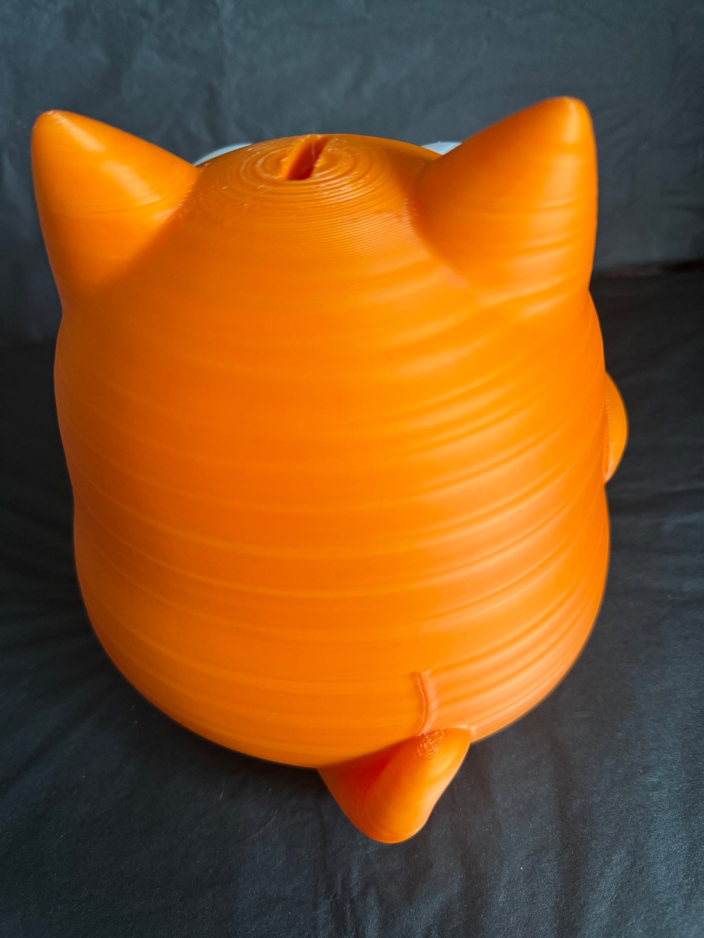 Cat money box