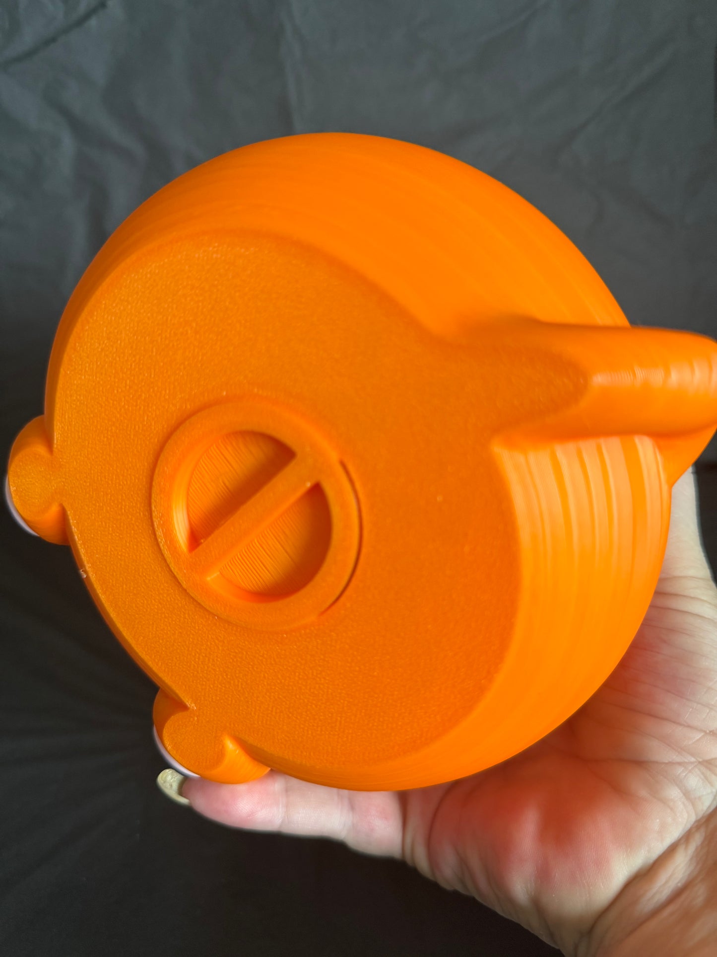 Cat money box