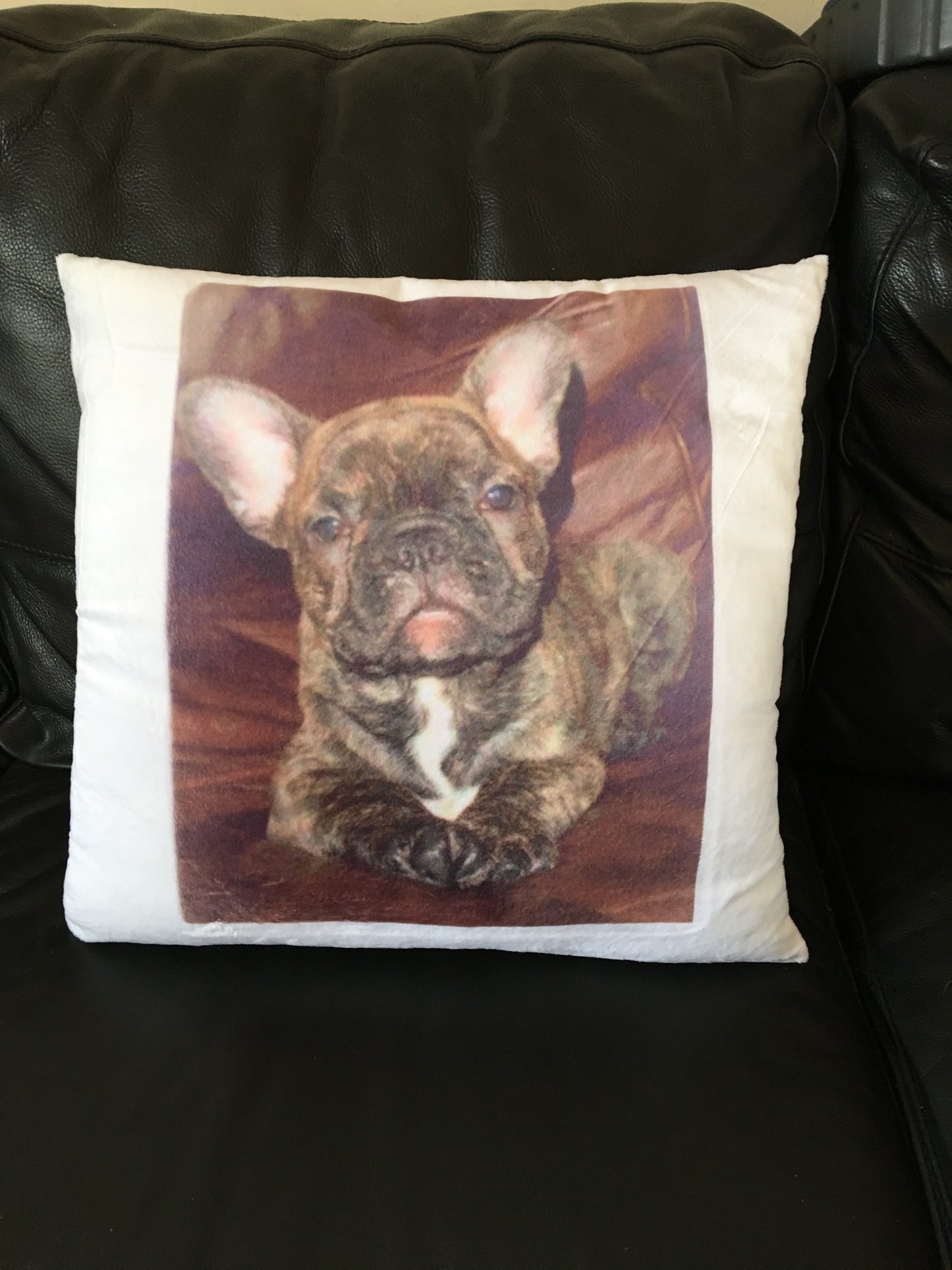 SUPER SOFT CUSHIONS