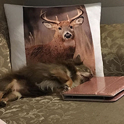 SUPER SOFT CUSHIONS