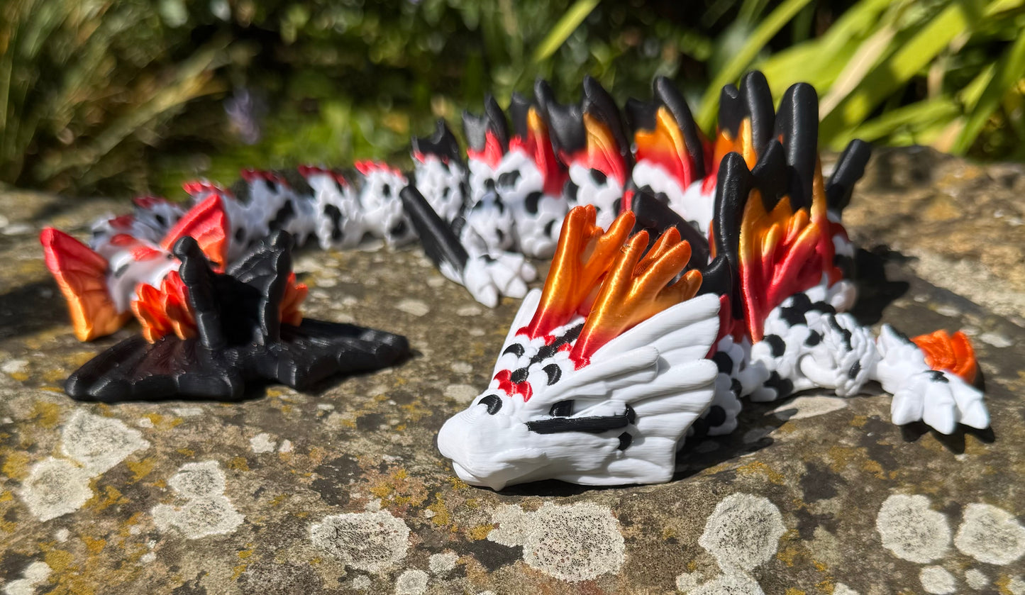 Koi Dragon (full size)