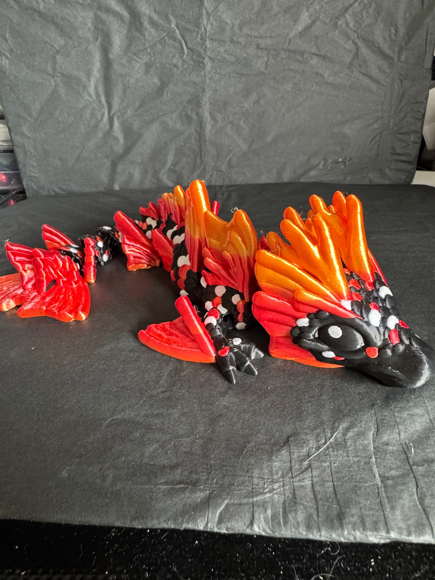 Koi Dragon (baby)