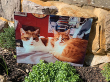 Load image into Gallery viewer, Chopping Boards