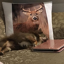 Load image into Gallery viewer, SUPER SOFT CUSHIONS